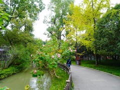 静静地武侯祠西区