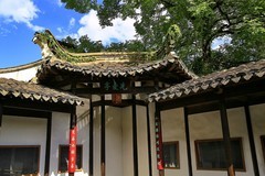 小景随拍（14）