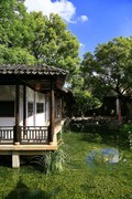 小景随拍（14）
