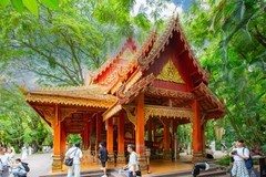 西双版纳风景 23