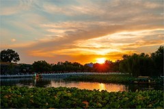 2026年第0042贴-北海公园风光纪实旅拍（0115）