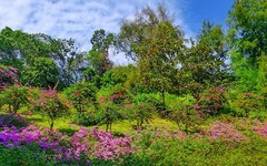 [26120] 云萝植物园（3）