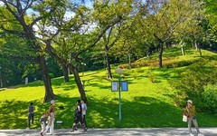 [26120] 云萝植物园（3）