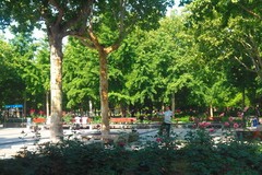 初夏·东环公园