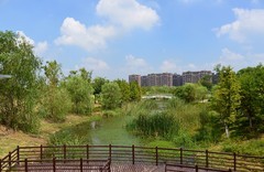 仲夏的神山