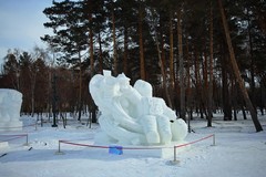 2026.2    太阳岛雪博会    5