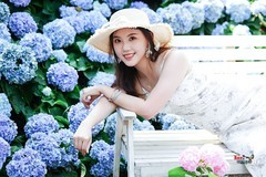 【绣球花海美女】---吱吱