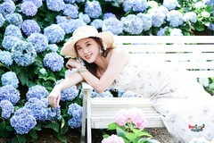 【绣球花海美女】---吱吱