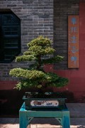可园博物馆