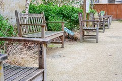 城市花园（巴黎）