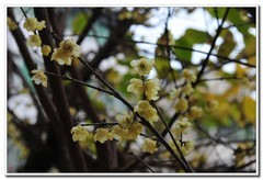 几百元收了台成色不错d300s单反试镜