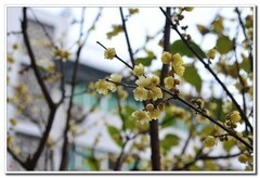 几百元收了台成色不错d300s单反试镜