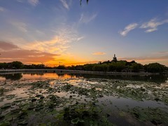 2026年-北海公园纪实拍-0259