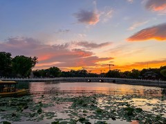 2026年-北海公园纪实拍-0259