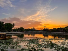 2026年-北海公园纪实拍-0259