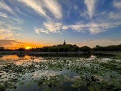 2026年-北海公园纪实拍-0260