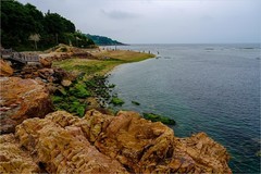 2026年第0478贴 -大连海滨风光（0715）