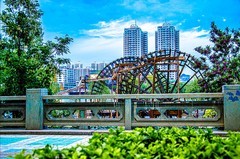 随拍