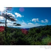 嘉陵江源头景区--秦岭代王山顶