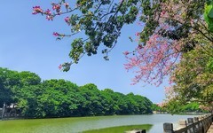 [26320] 石井河畔（2）