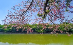 [26320] 石井河畔（2）
