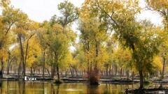 南疆行——阿克苏的刀郎部落（7）