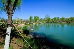 随拍——白泉春色