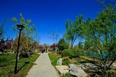 随拍——白泉春色