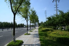 同心公园之夏（1）