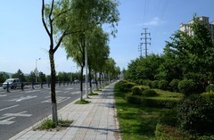 同心公园之夏（1）