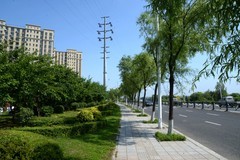 同心公园之夏（1）