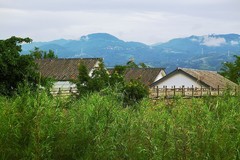 小渔村（五）