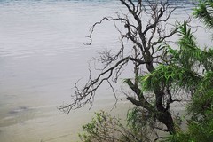 小渔村（五）