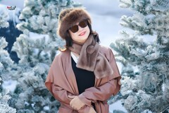 【冬季时光】---月媚