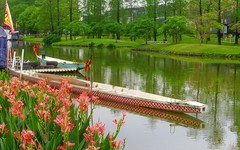 [26121] 湿地公园随拍