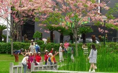 [26121] 湿地公园随拍