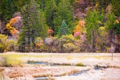 外出随拍（788）.