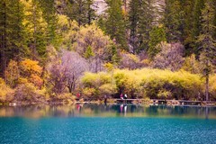 外出随拍（788）.