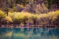 外出随拍（788）.