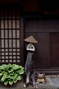 日本中部升龙道印象——高山市【9】