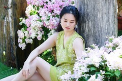 【晴雾伴角梅】---沛阳