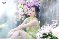 【晴雾伴角梅】---沛阳