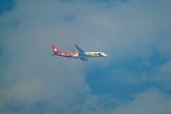 蓝天飞翔地”熊猫飞机“