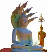 1366【不老松：纪实摄影】《异国风情录》三国演义：新、马、泰游记！ (2)泰国皇家寺！