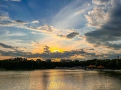 2026年-陶然亭公园纪实拍-0264