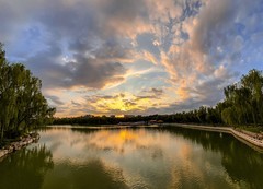 2026年-陶然亭公园纪实拍-0264