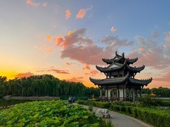 2026年-陶然亭公园纪实拍-0265