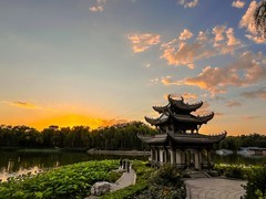 2026年-陶然亭公园纪实拍-0265