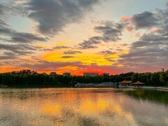 2026年-陶然亭公园纪实拍-0265