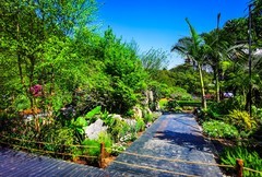 深圳仙湖植物园 掠影